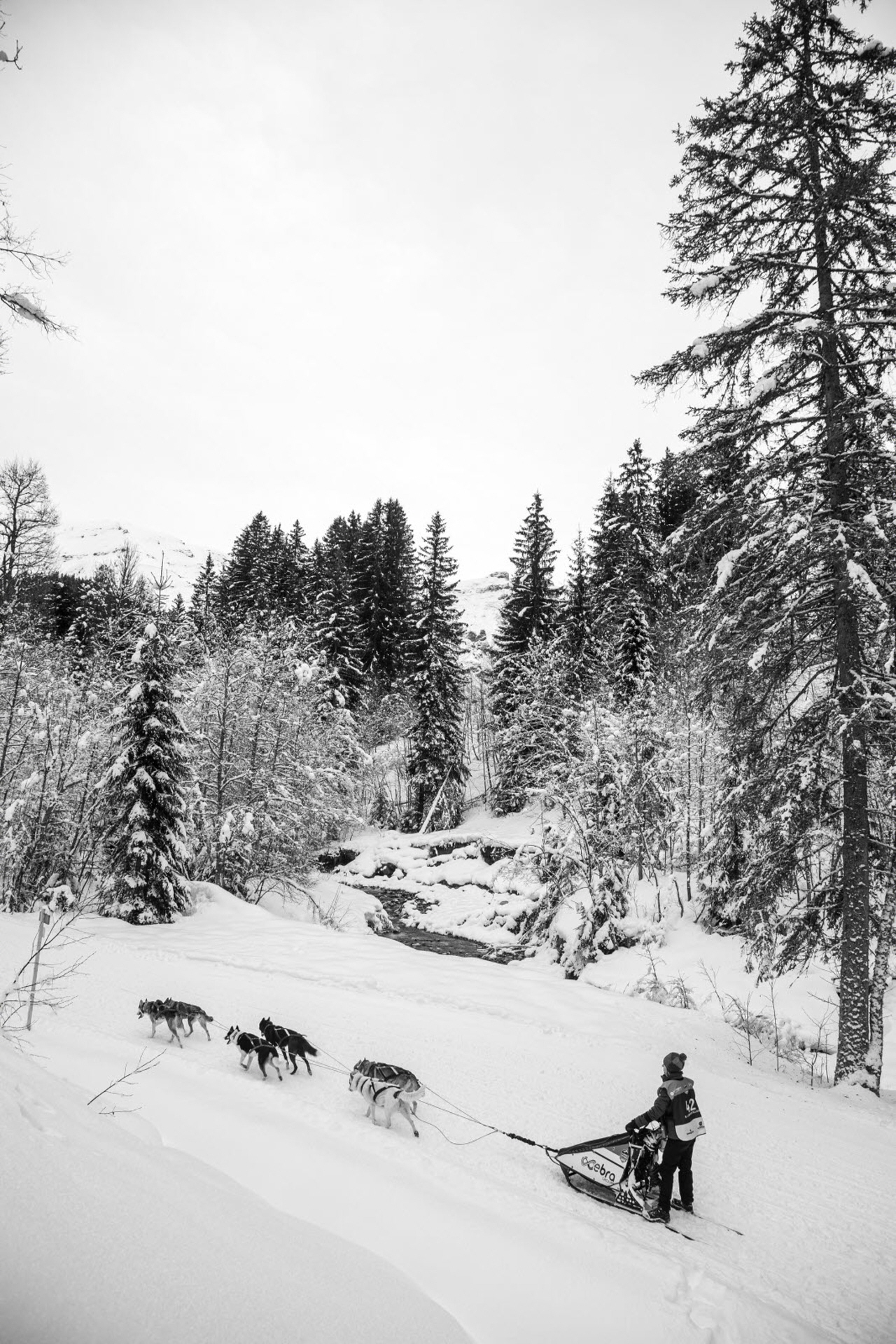 © François-Xavier Repellin