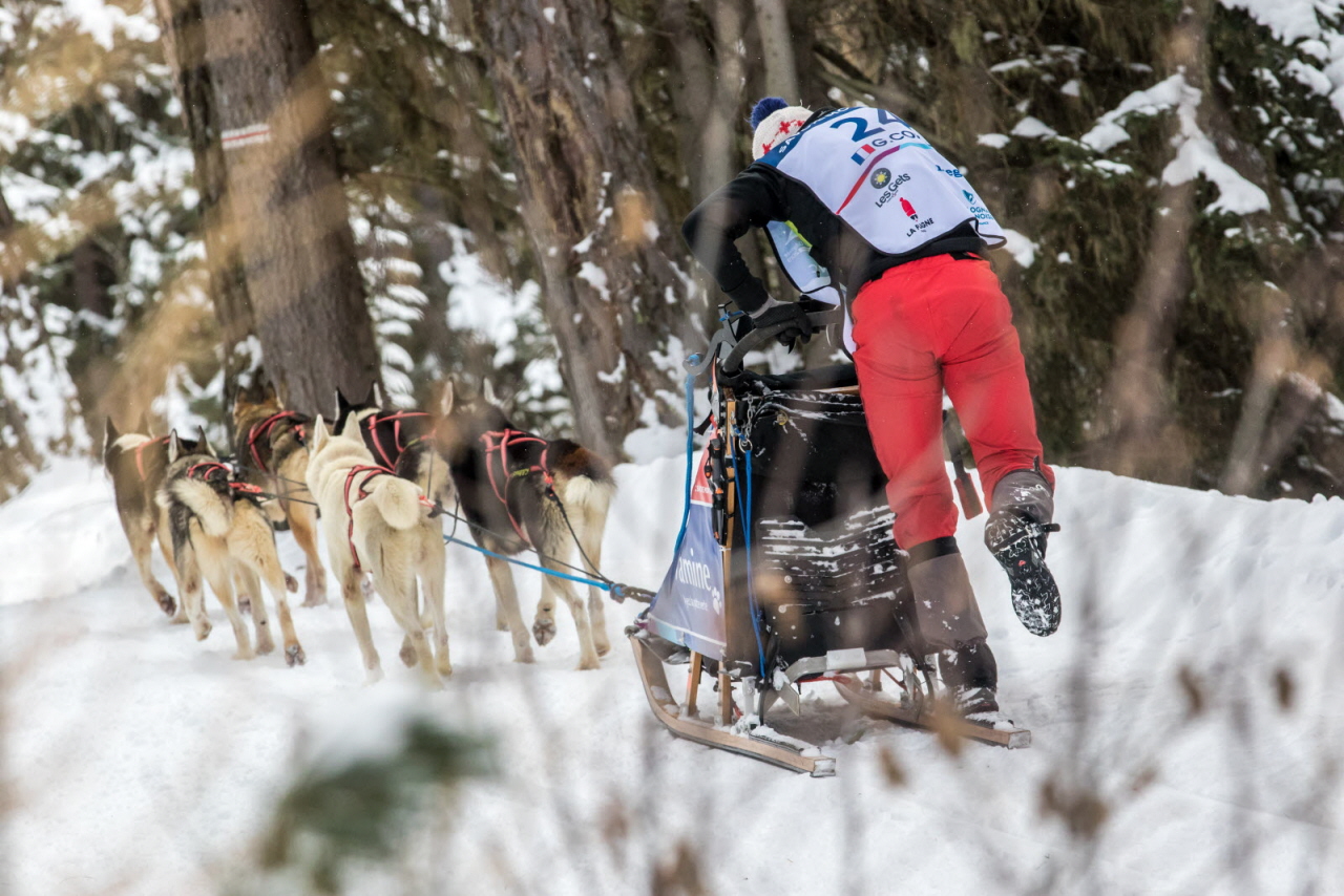 © Vincent Piccerelle