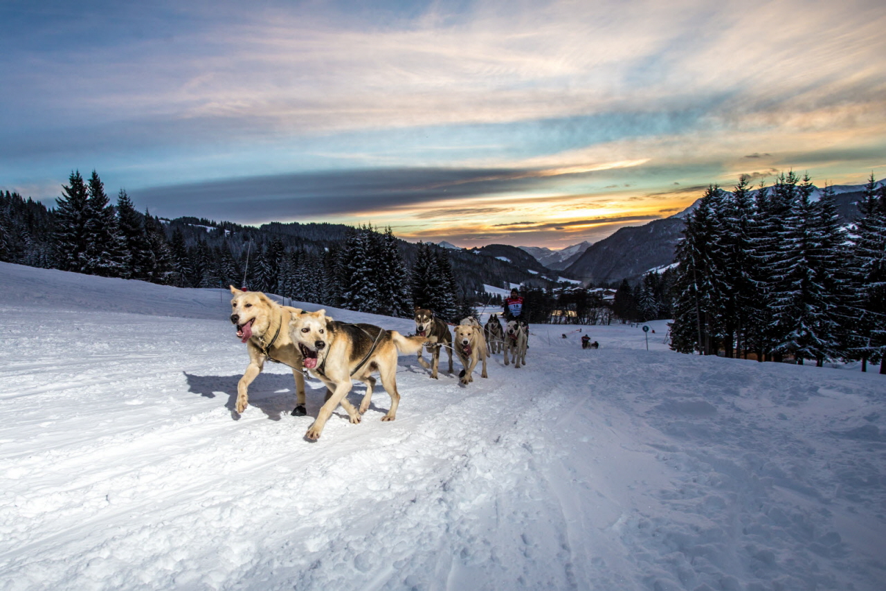 © Vincent Piccerelle