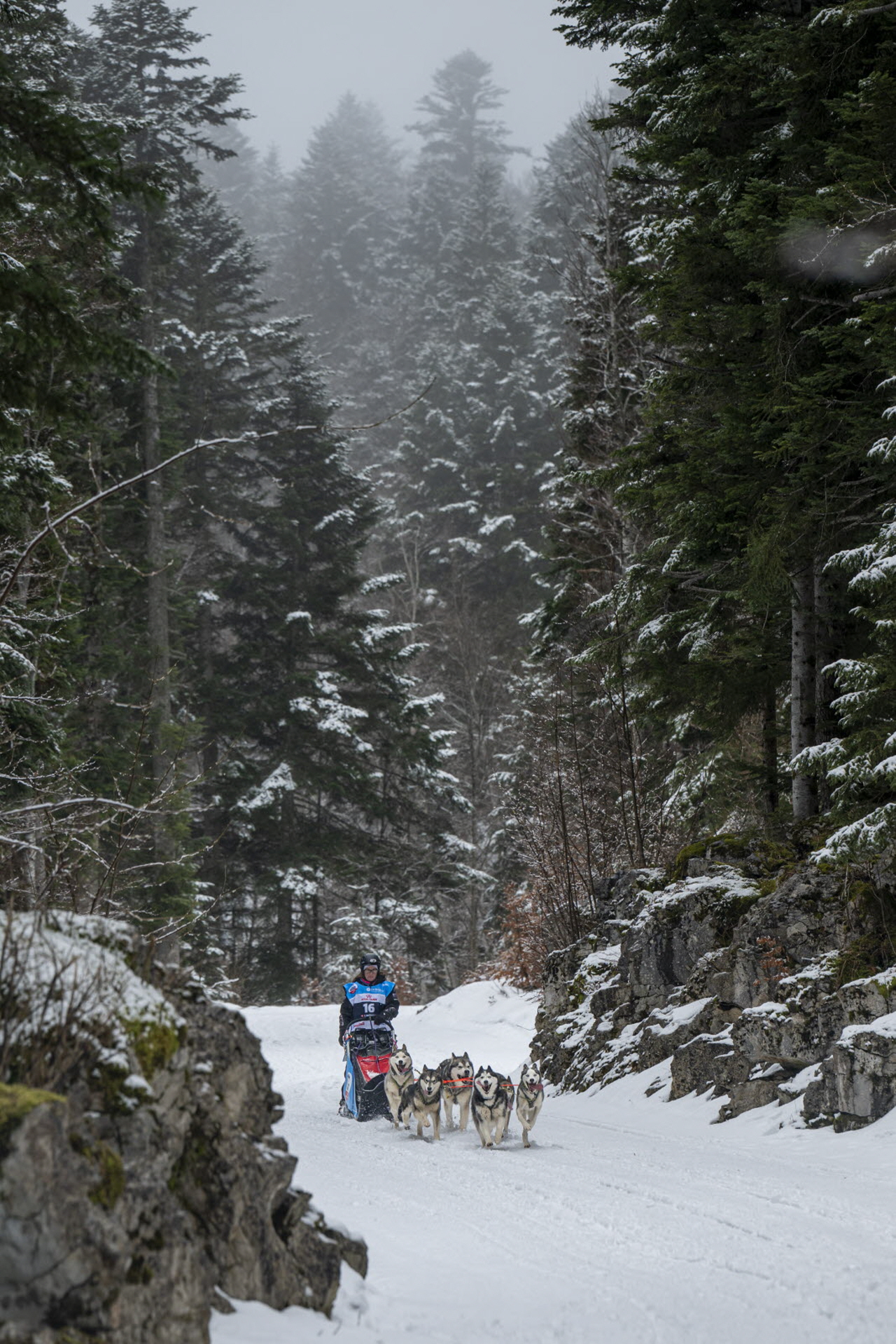 Presse LGO26 - 22.01.26 - Benoit Diacre - 3.jpg