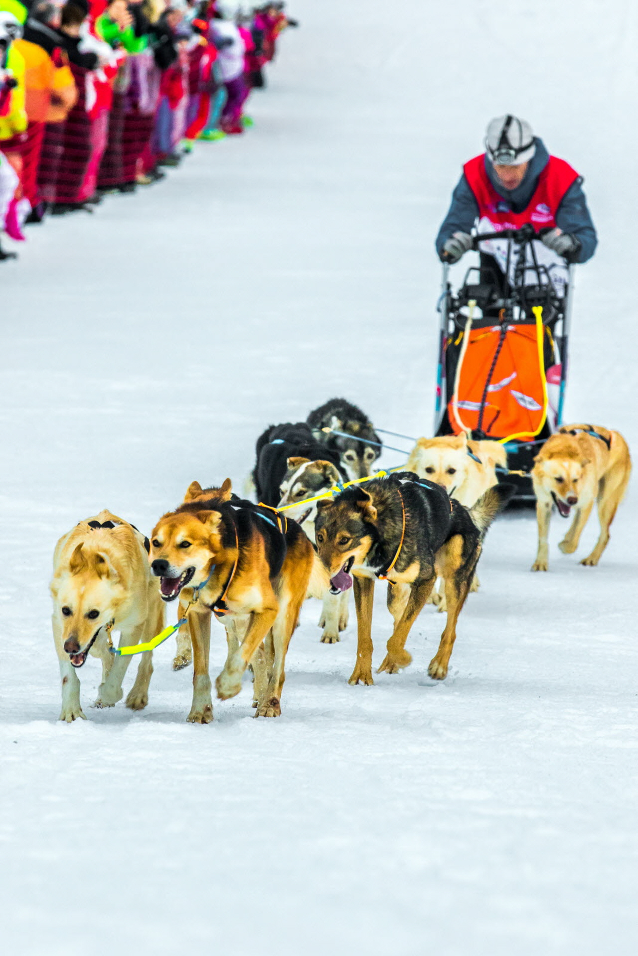 © Vincent Piccerelle