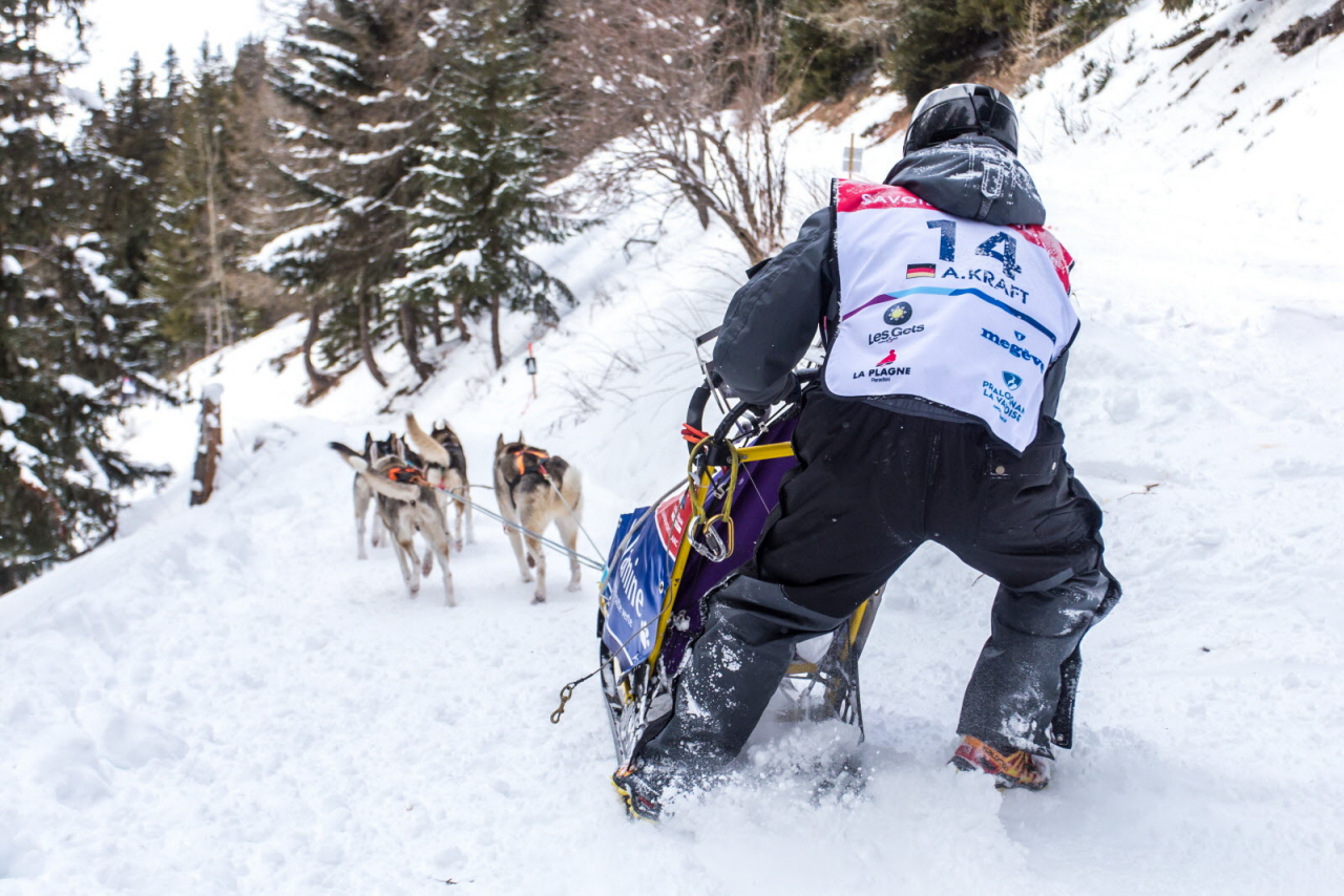 © Vincent Piccerelle