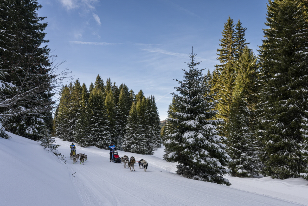 Presse LGO26 - 13.01.26 - Benoit Diacre - 4.jpg