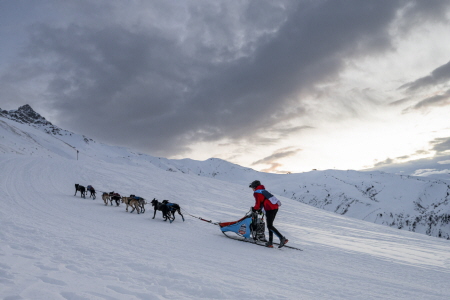 L'étape Valmorel - Doucy appréciée par tous les mushers