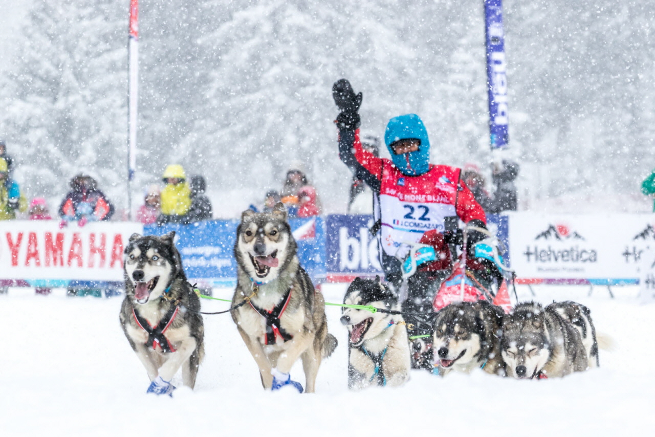 © Vincent Piccerelle