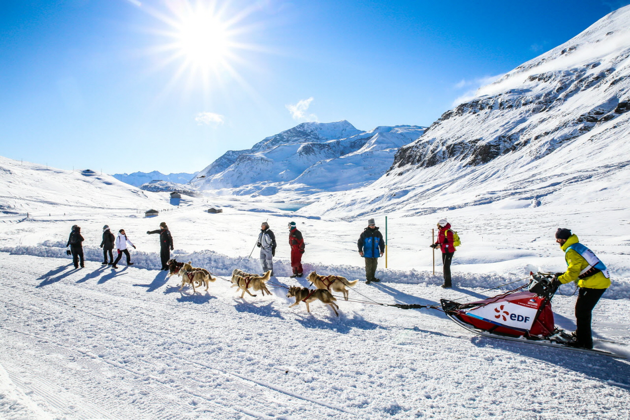 © Vincent Piccerelle