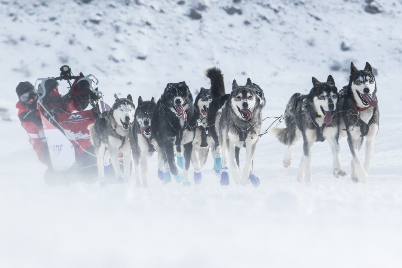 © Vincent Piccerelle