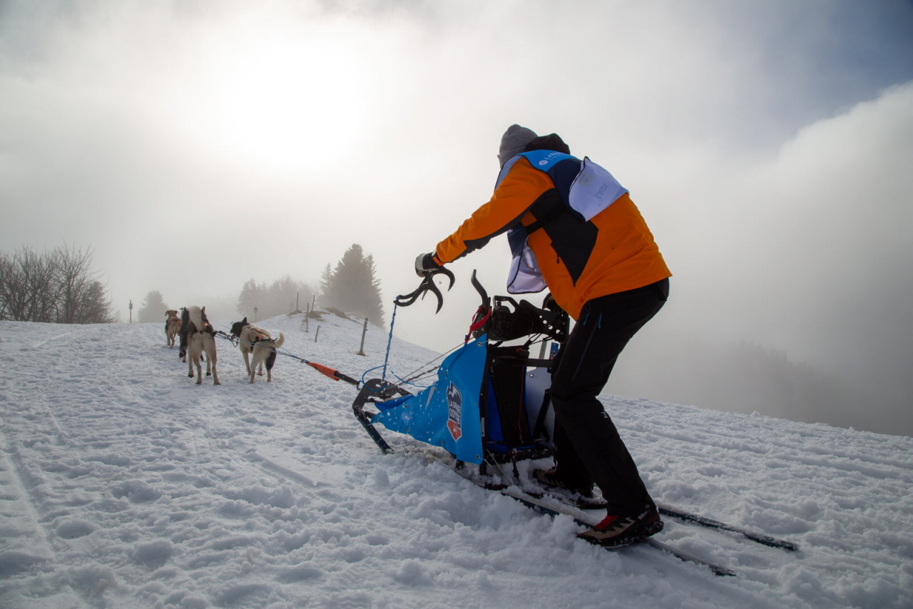 © François-Xavier Repellin