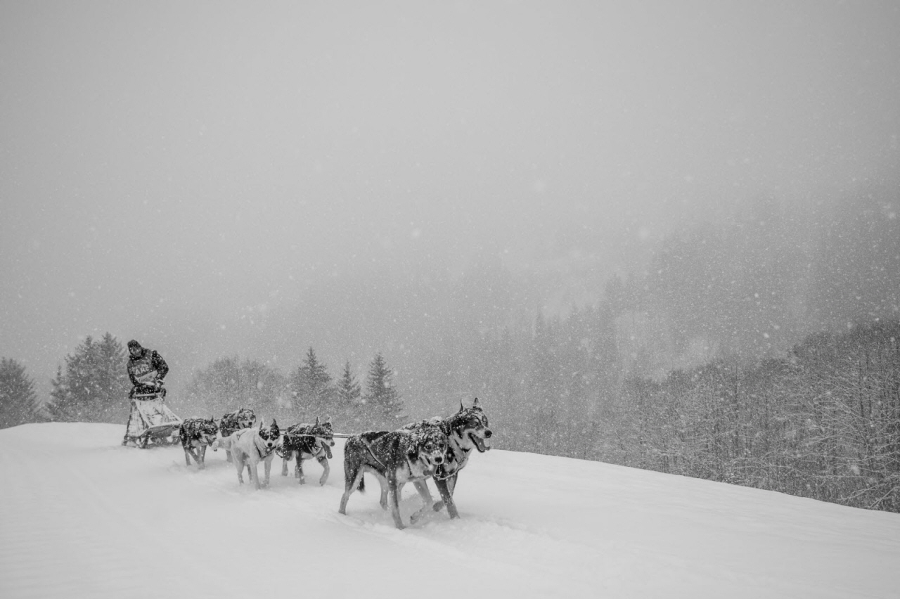 © Benoit Diacre