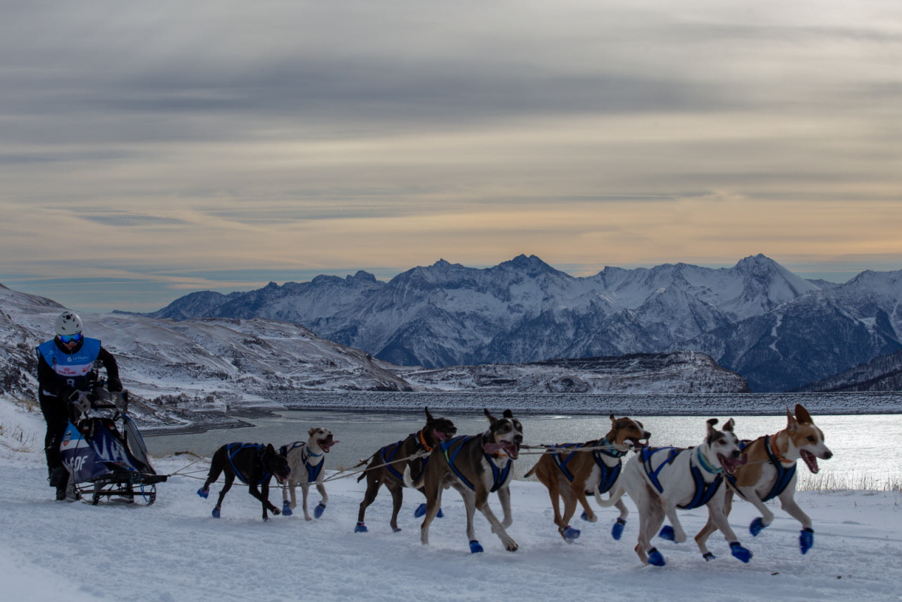 © François-Xavier Repellin