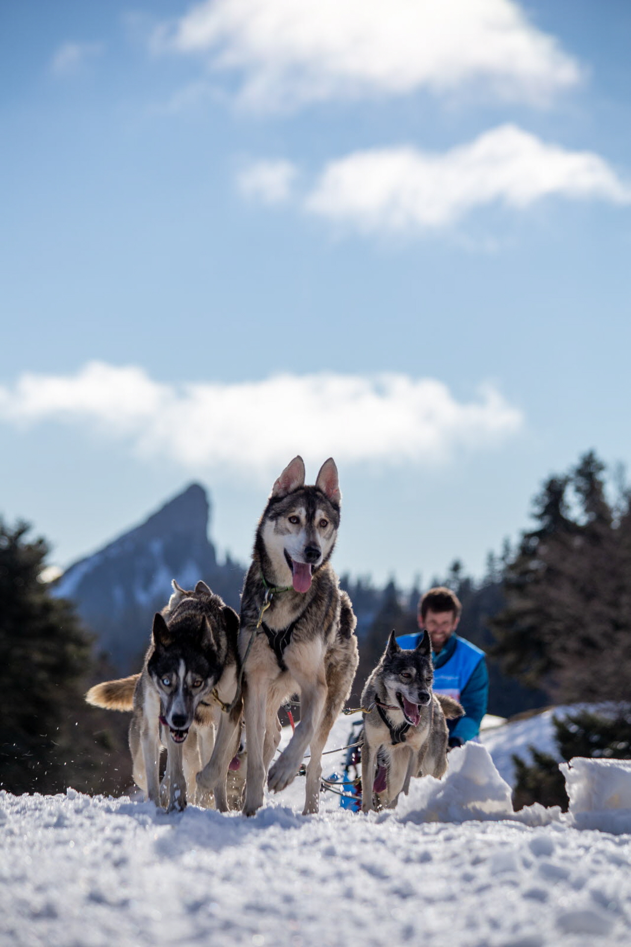 © François-Xavier Repellin