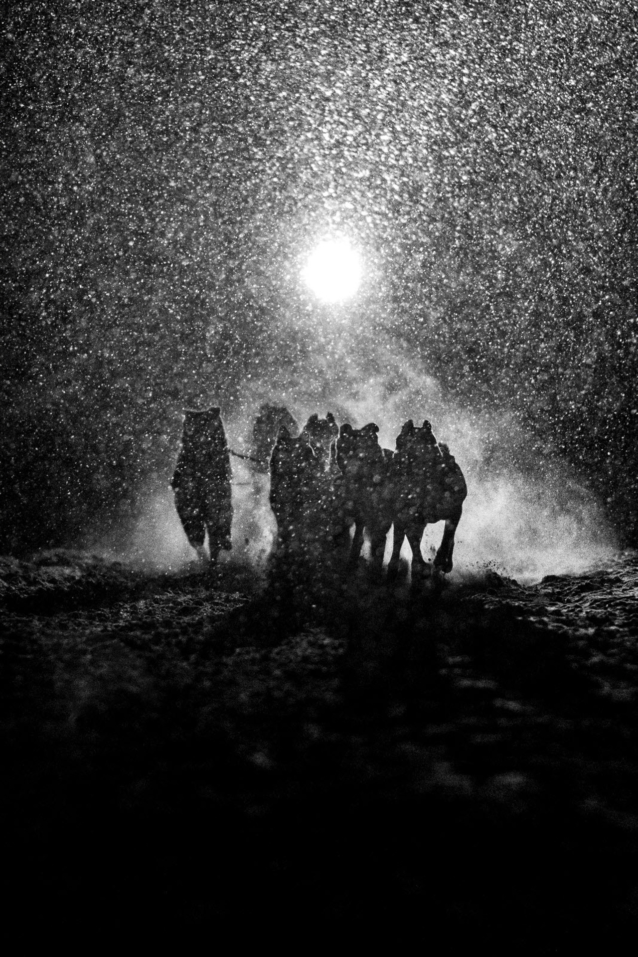 © Romain Tissot