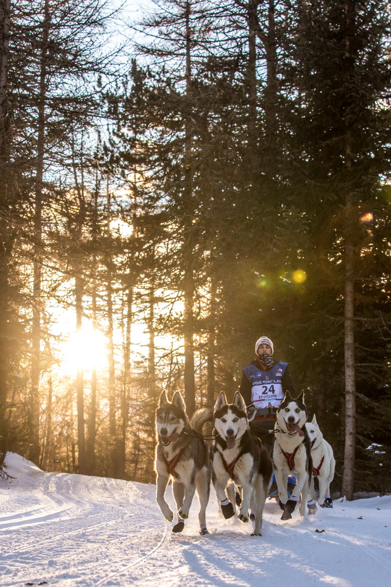 © Vincent Piccerelle