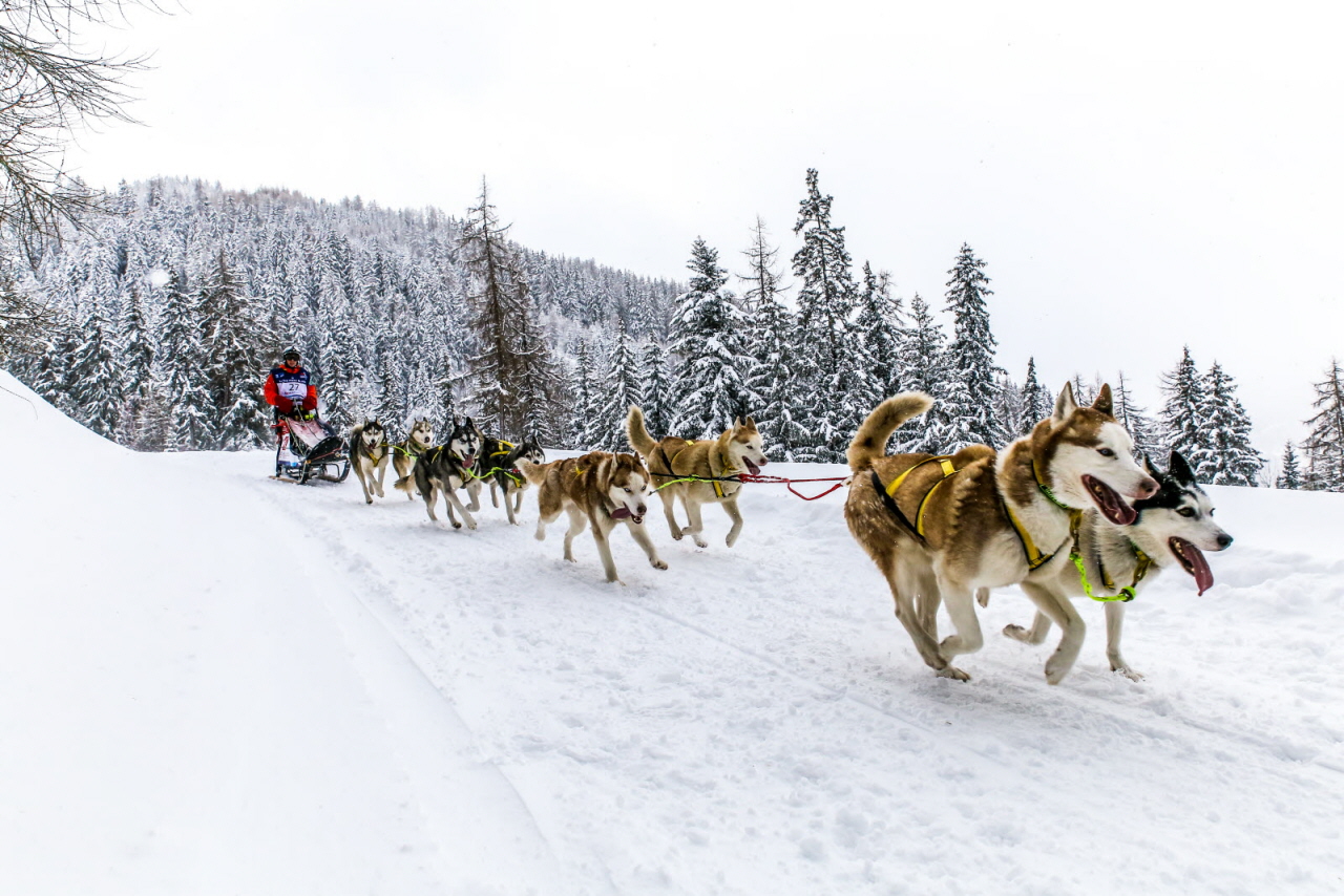 © Vincent Piccerelle