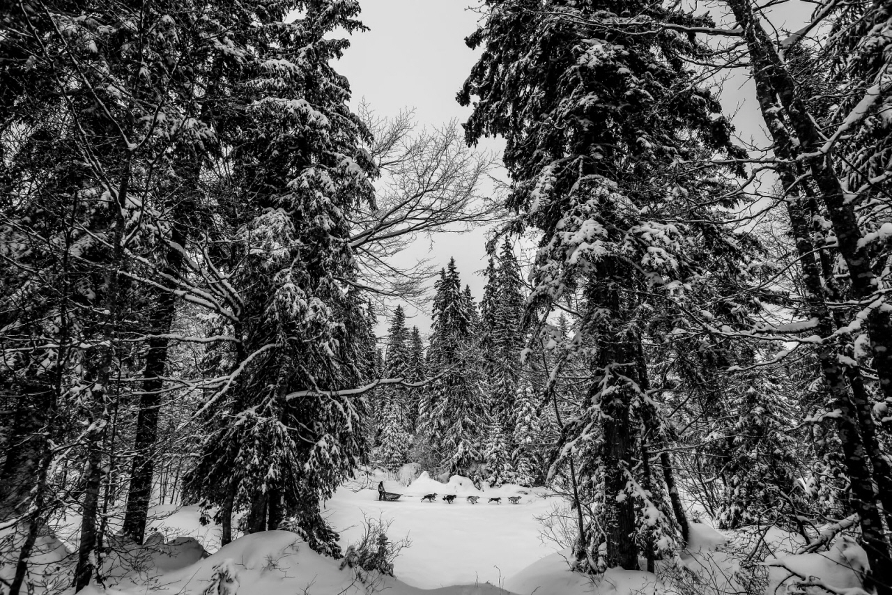 © Vincent Piccerelle