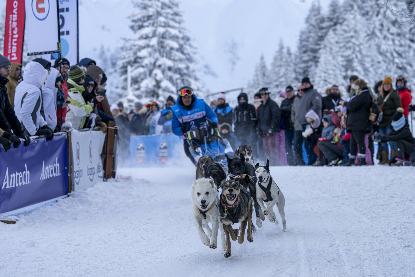 Presse LGO25 - 12.01.25 - Benoit Diacre - 44.jpg