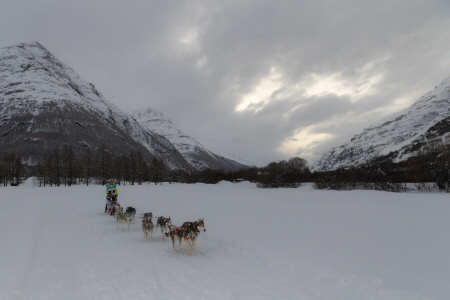 Des milliers de spectateurs au rendez-vous pour une étape spectaculaire de la Grande Odyssée Royal Canin