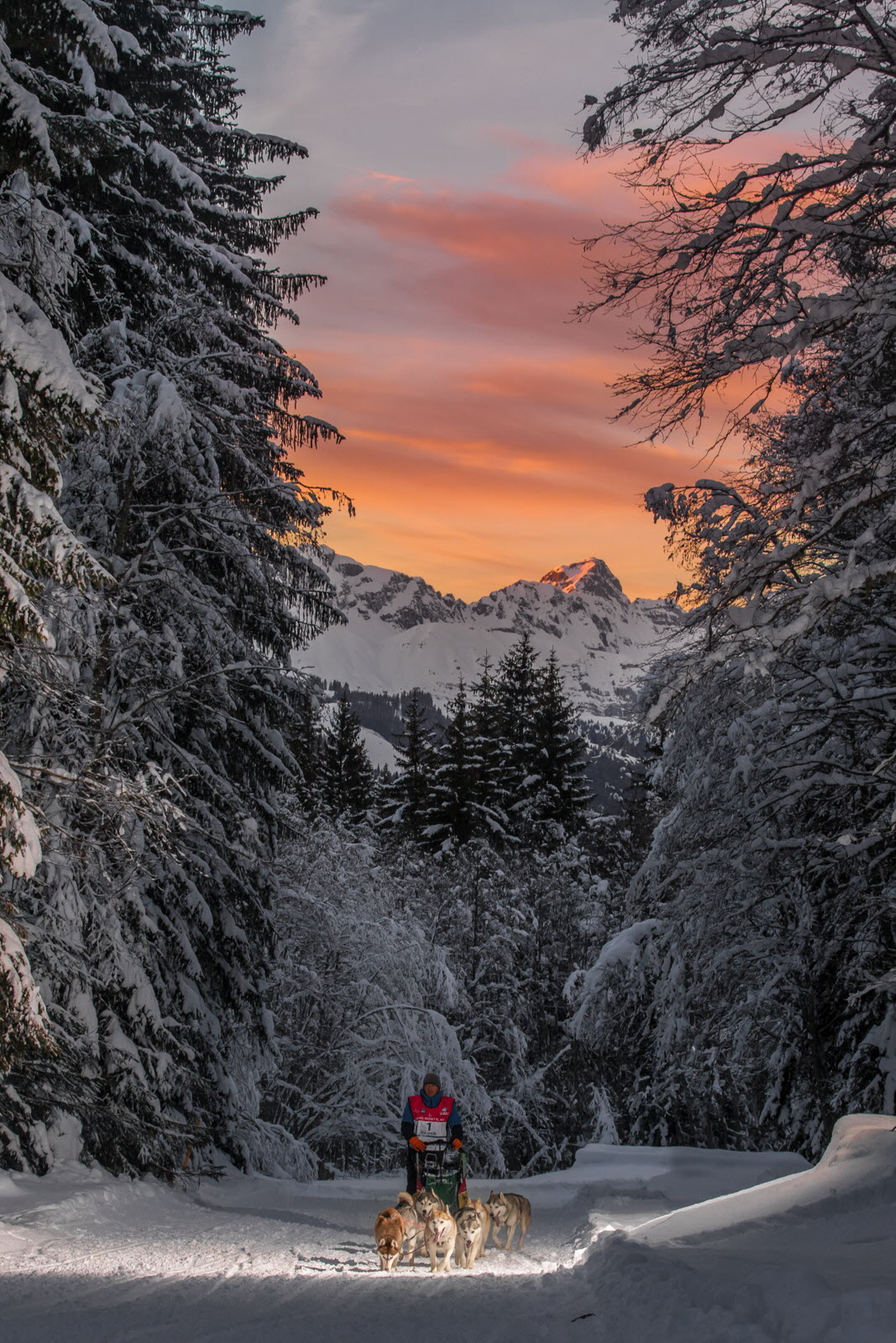 © Vincent Piccerelle