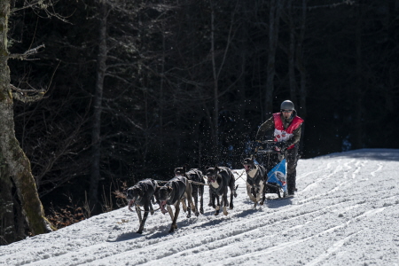 Au Col de Porte, spectacle et compétition se répondent avant le dénouement final de la Grande Odyssée Royal Canin