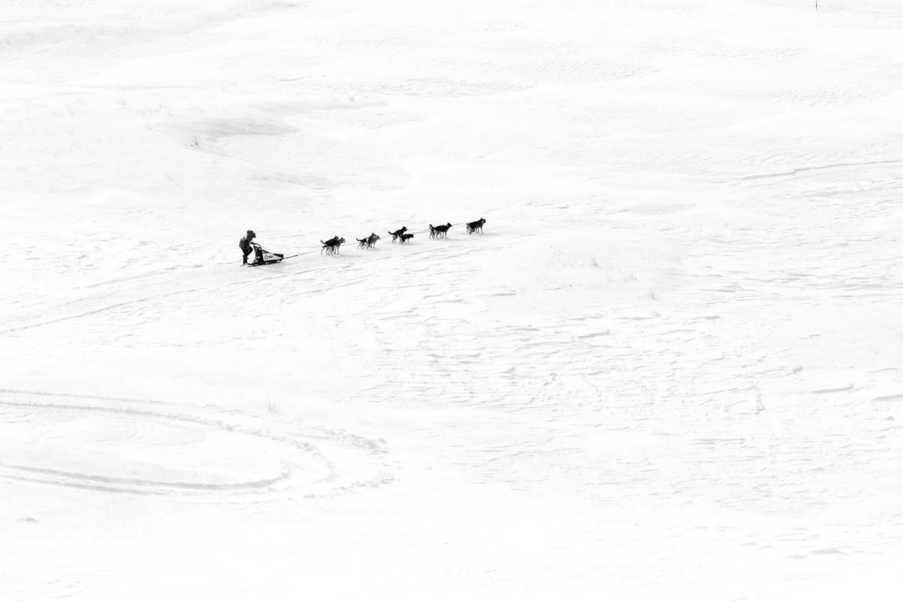 © Vincent Piccerelle