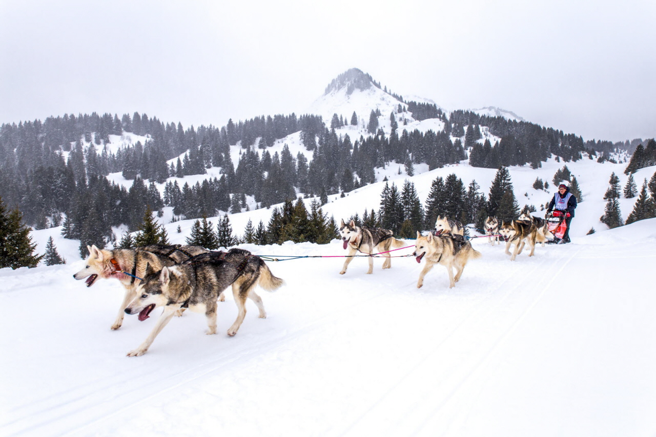 © Vincent Piccerelle