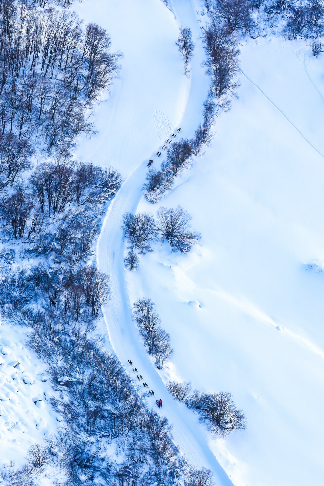 © Vincent Piccerelle