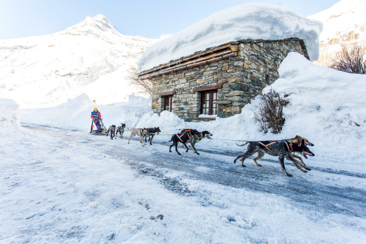 © Vincent Piccerelle