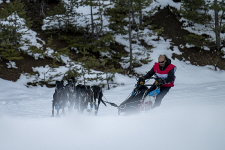 L'élite des mushers au rendez-vous pour la 22e édition de La Grande Odyssée Royal Canin