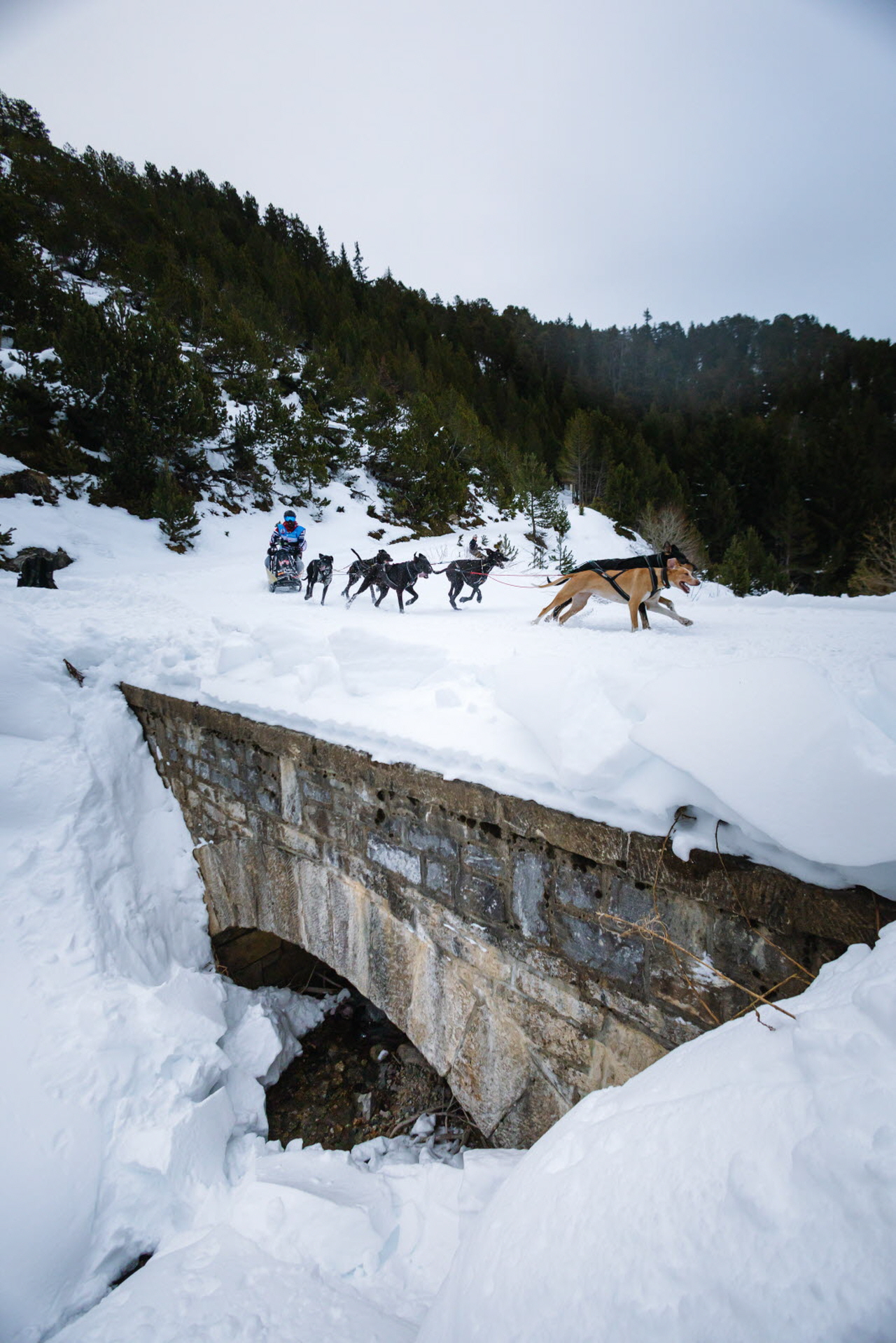 PresseLGO26-16.01-BaptisteAlonsoBraissand-2935 - Copie.jpg