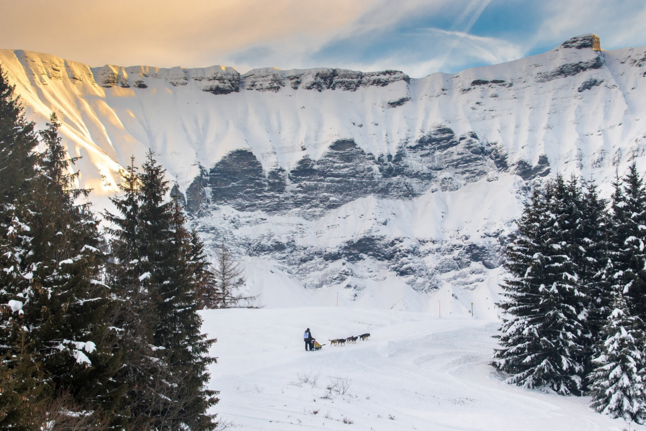 © Vincent Piccerelle