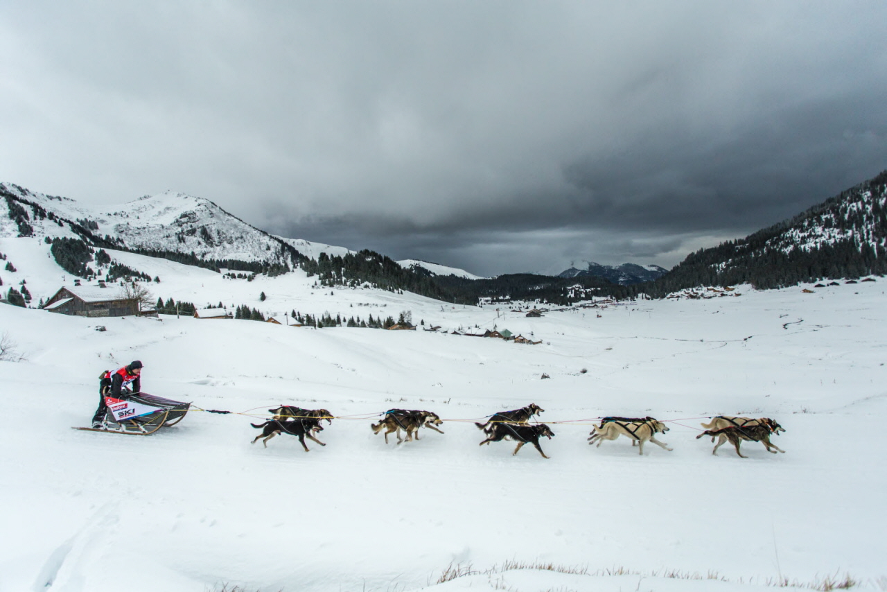 © Vincent Piccerelle