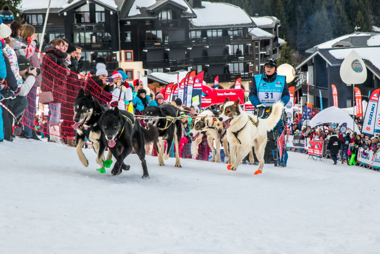 © Vincent Piccerelle