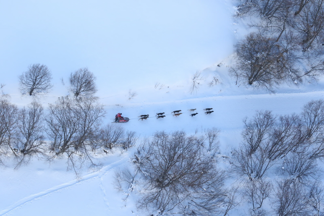 © Vincent Piccerelle