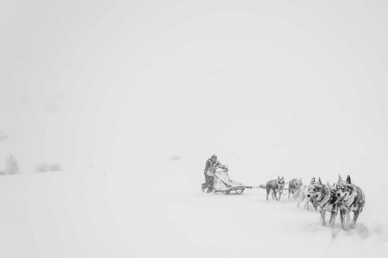 © Benoit Diacre