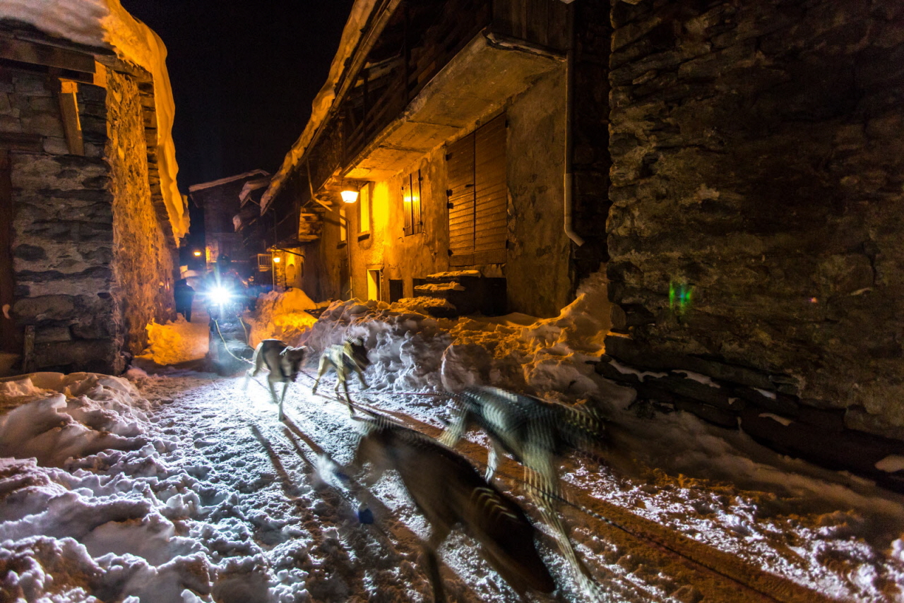 © Vincent Piccerelle