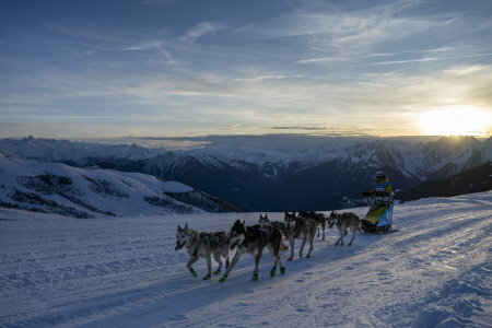 De Saint-François-Longchamp à Doucy-Valmorel, La Grande Odyssée Royal Canin au sommet