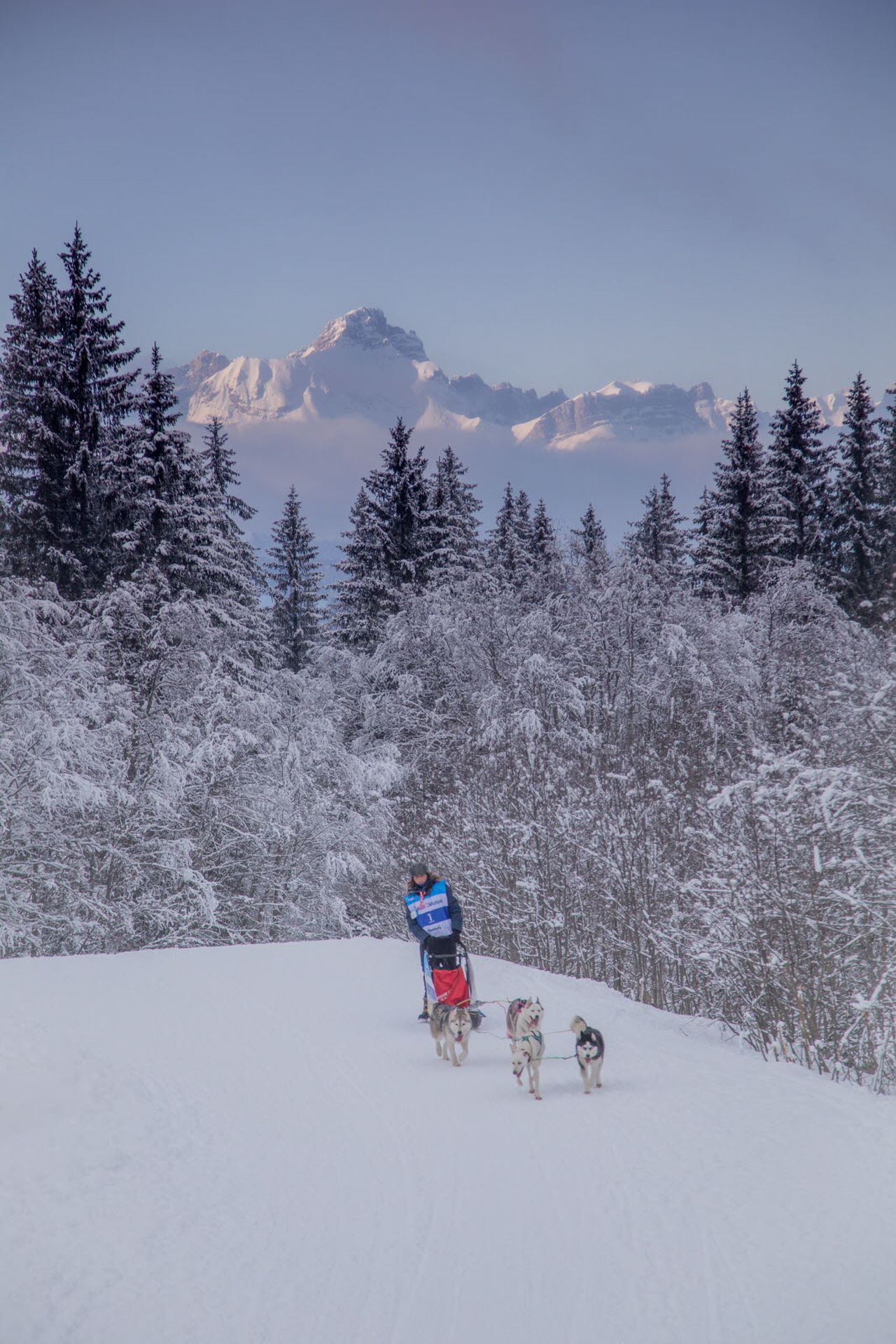 © François-Xavier REPELLIN