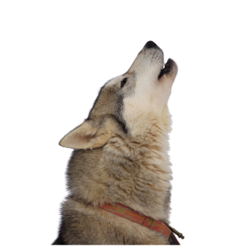 Design sans titre (5).png