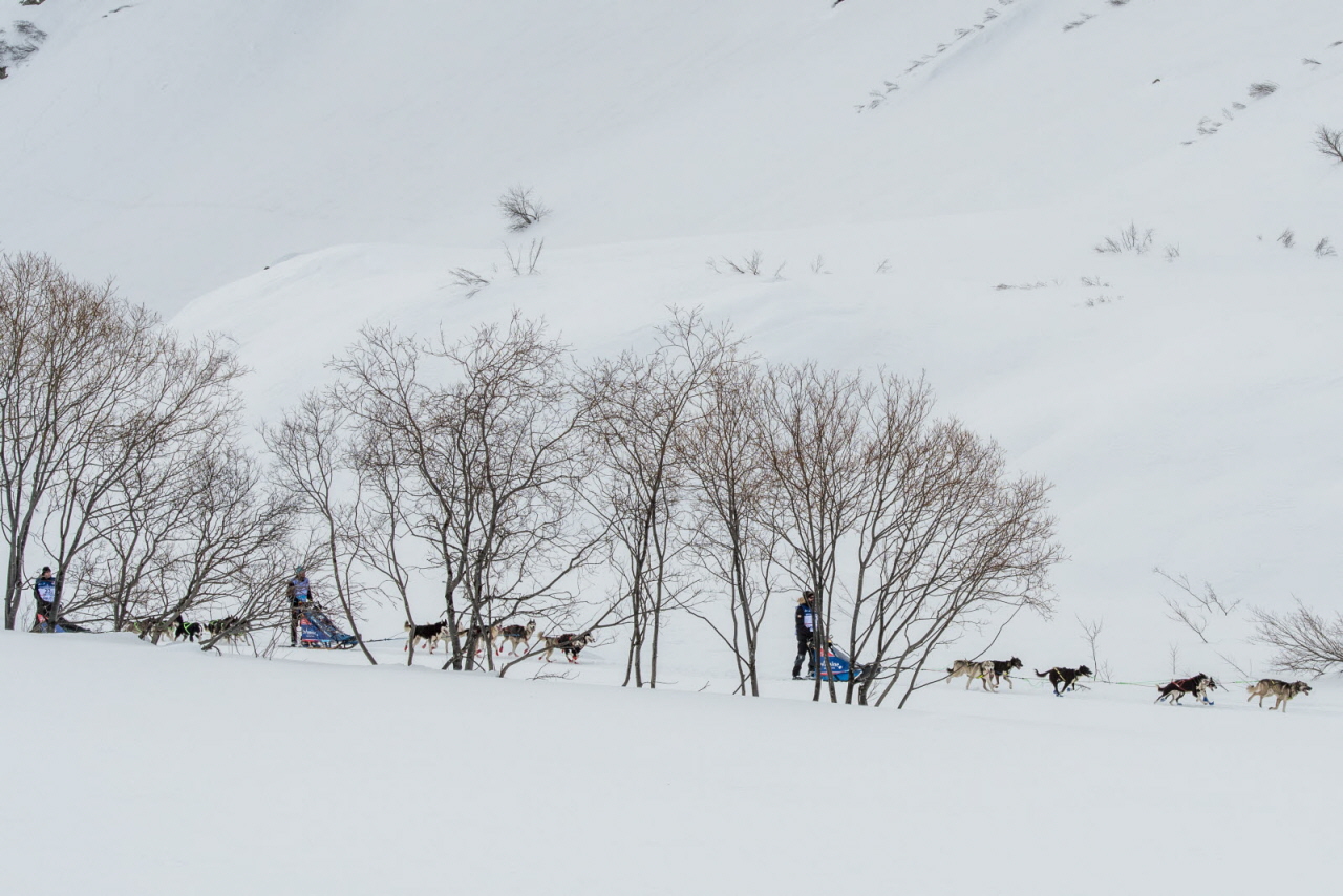 © Benoit Diacre