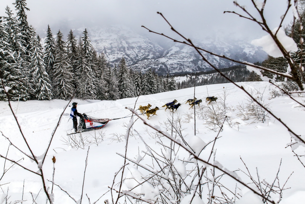 © Vincent Piccerelle