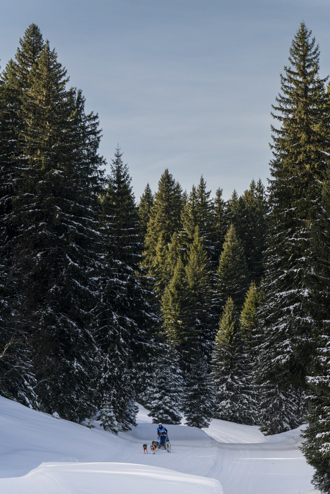 Presse LGO26 - 13.01.26 - Benoit Diacre - 5.jpg