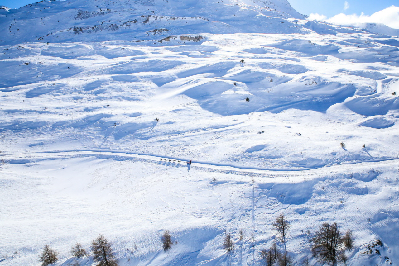 © Vincent Piccerelle