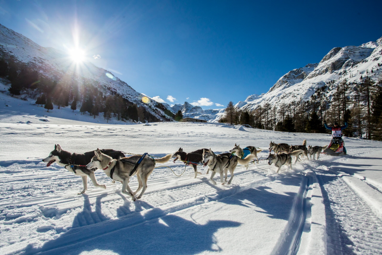 © Vincent Piccerelle