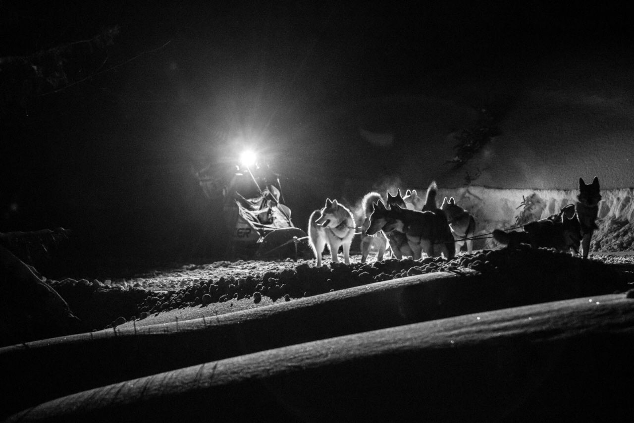 © Vincent Piccerelle