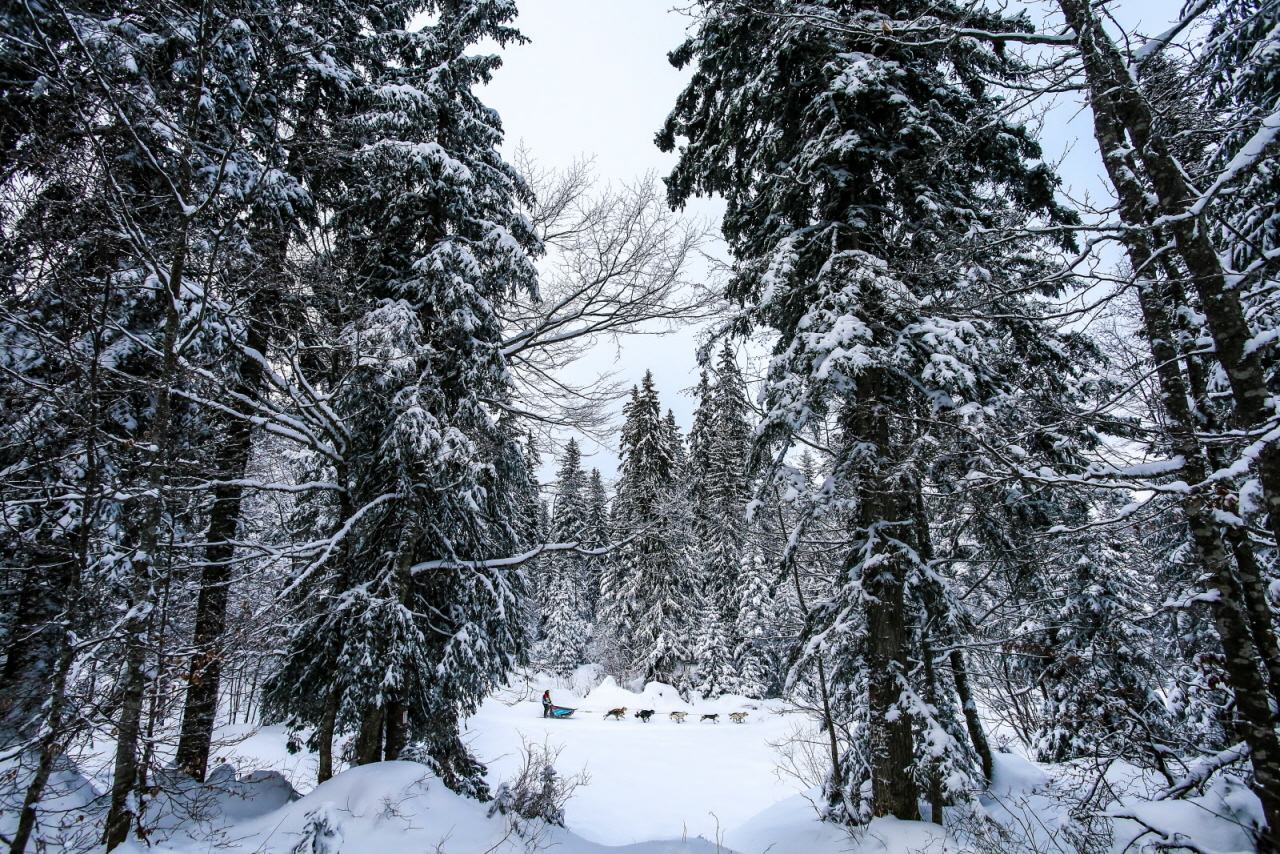 © Vincent Piccerelle