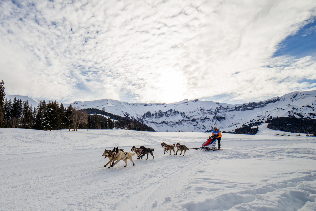 © François-Xavier Repellin