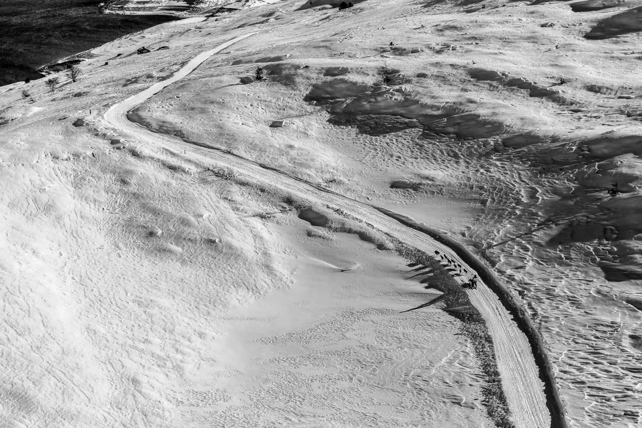 © Vincent Piccerelle