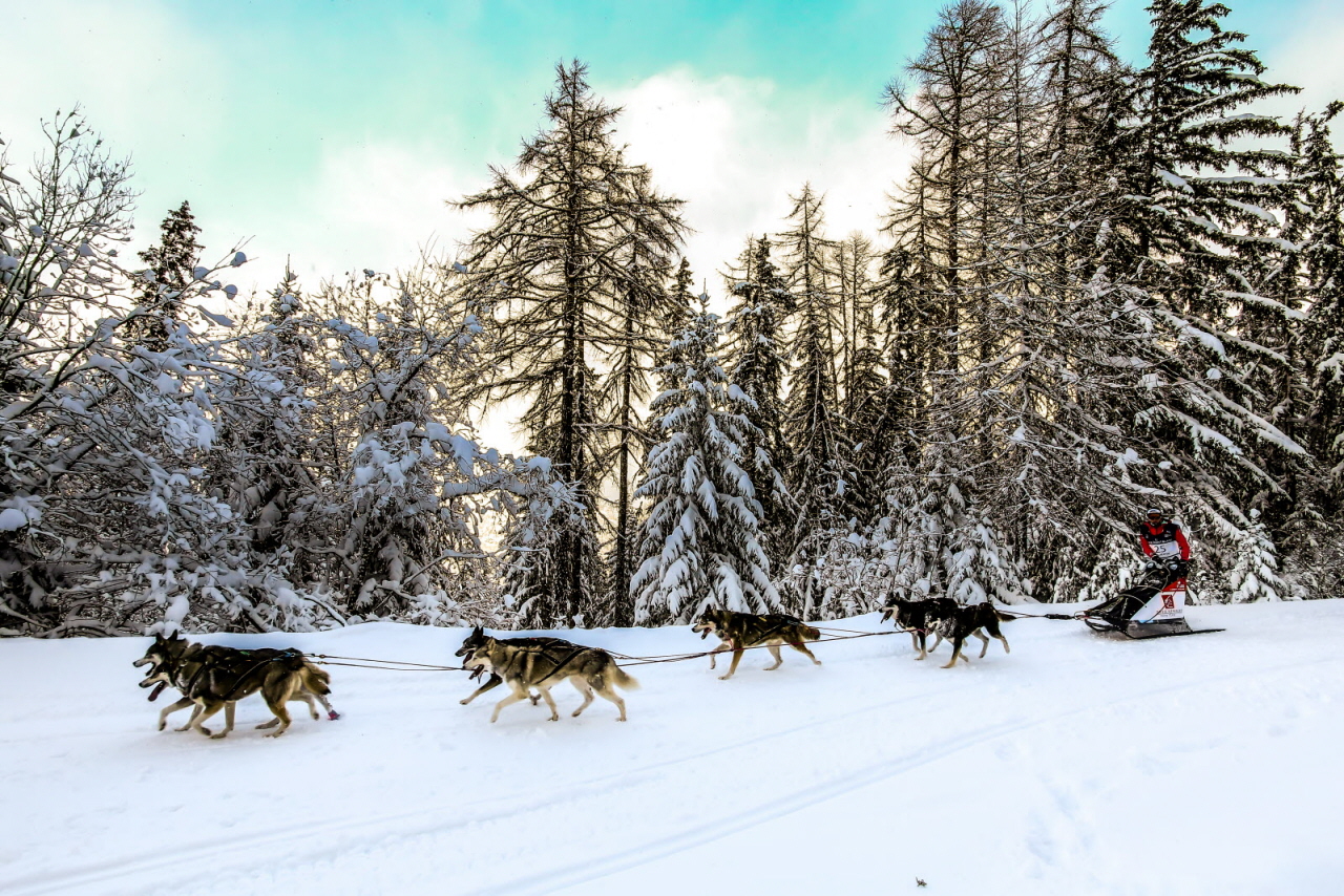 © Vincent Piccerelle