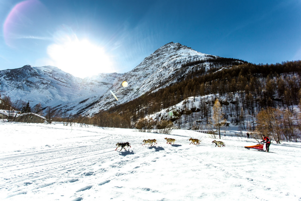 © Vincent Piccerelle