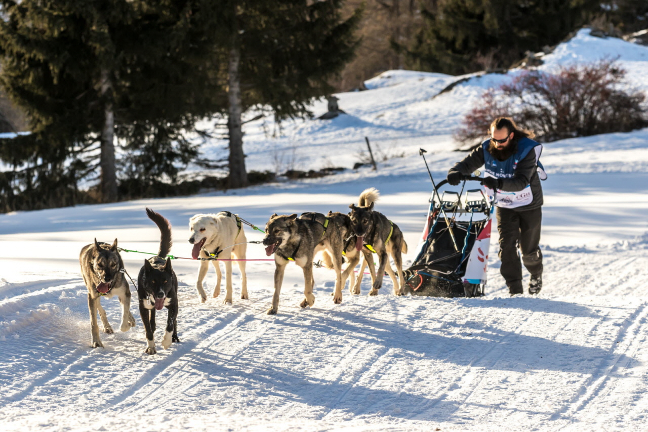 © Vincent Piccerelle